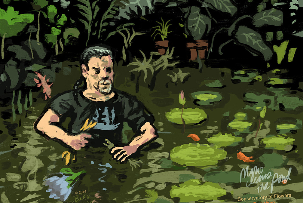 Mario Amongst the Water Lillies