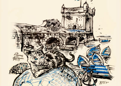 The blue boats of Essaouira, Morocco with cat