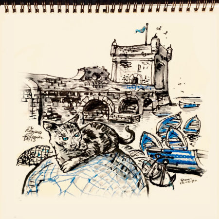 The blue boats of Essaouira, Morocco with cat