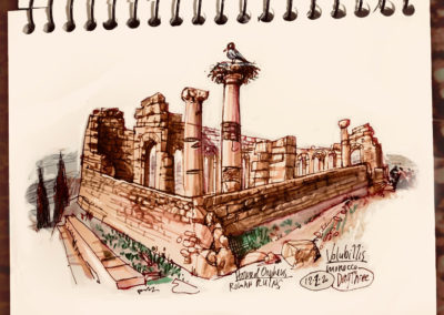 The House of Orpheus is the centerpiece of the Roman ruins at Volubillis, near Meknes, Morocco